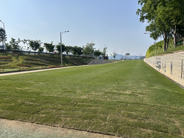 포지잔디 활용[사진=순천시 제공]